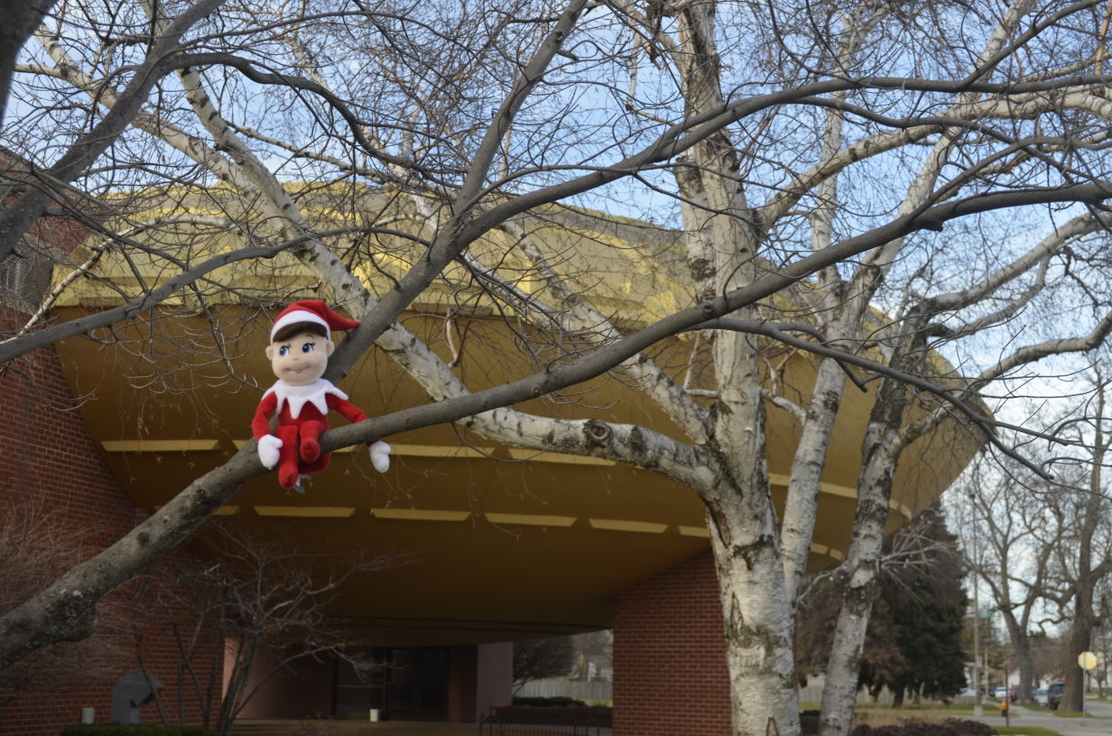 The Elf on The Shelf